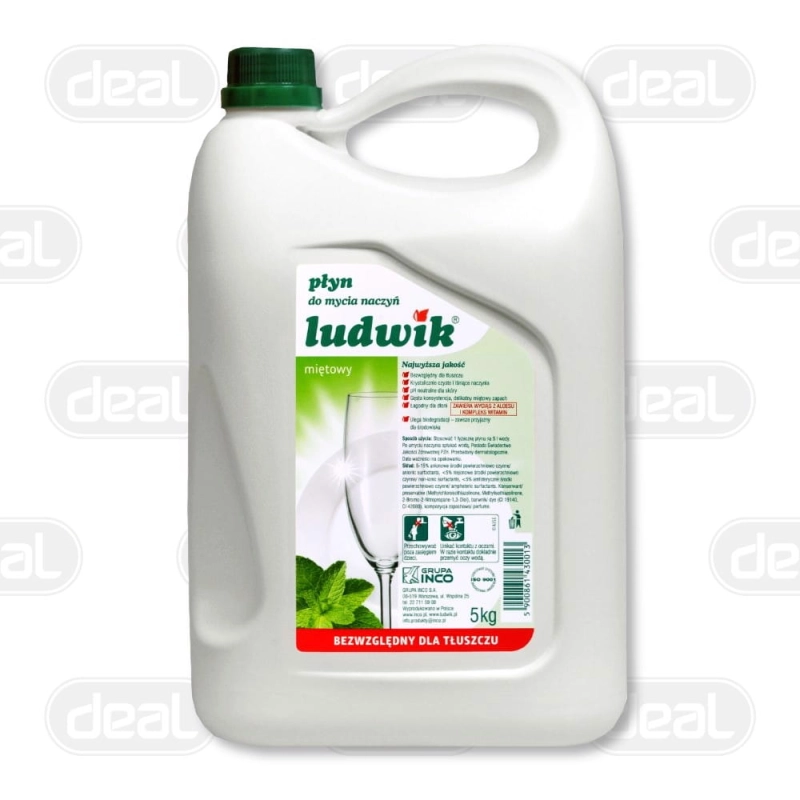 Ludwik płyn do naczyń 5 L mięta