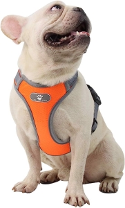 Regulowane szelki ze smyczą odblaskowe pomarańcz M