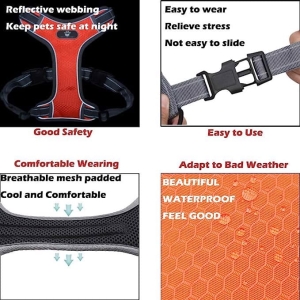 Regulowane szelki ze smyczą odblaskowe pomarańcz M