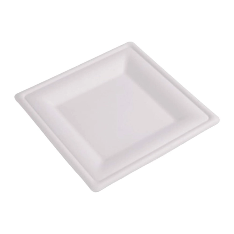 Talerz kwadratowy 20x20cm 8'' pulpa trzcinowa 50sz