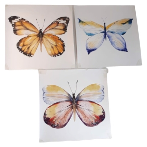 Plakat obrazek Motyl zestaw 3 sztuk