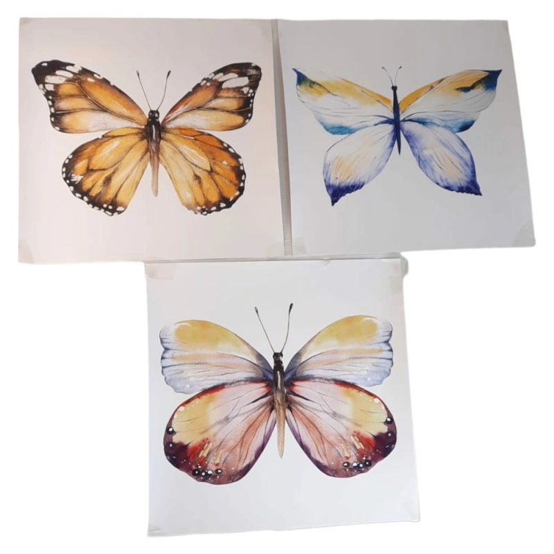 Plakat obrazek Motyl zestaw 3 sztuk