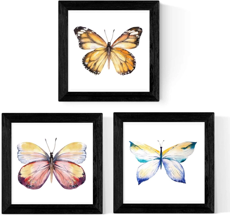 Plakat obrazek Motyl zestaw 3 sztuk