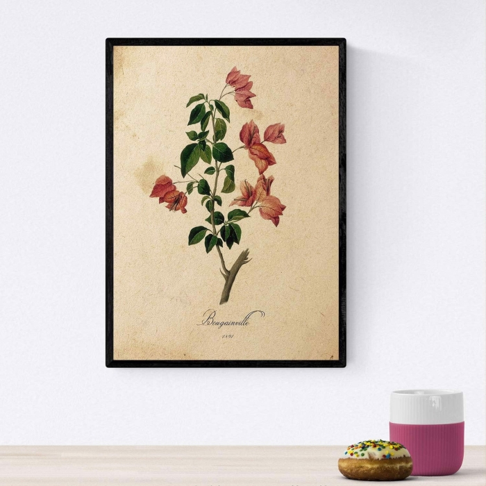 Plakat obraz Kwiaty Vintage A4