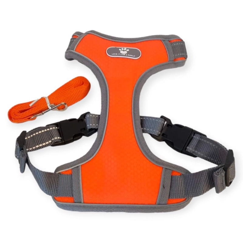 d72d2246b93a1898a2f30d43536af090