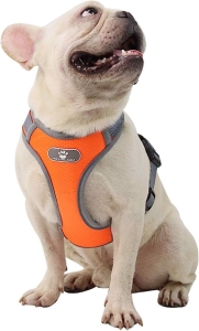 324077aa9f39fe6d5a0596adf657e770