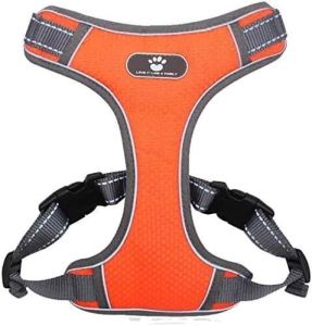 1b3819ebc5ff36911b9d41ac3ee2a227