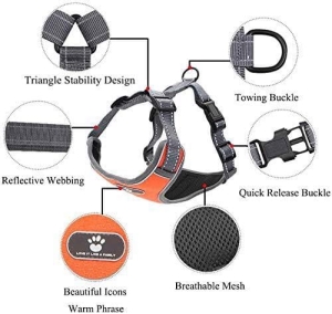 57615d640be09022c7c8818b3b67faf5