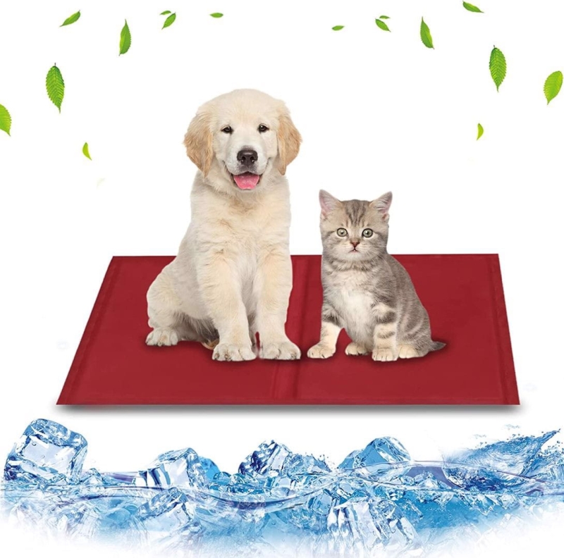 9b2c64ea5b4dd018ef3cd8284961e936