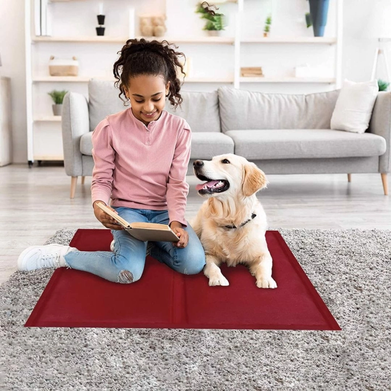 fb6fb351b6d1dda2b3d3a051b31dc23f