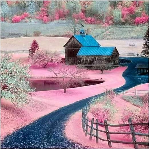 33bd67ae850fe8c087fe7fd3b1005b43