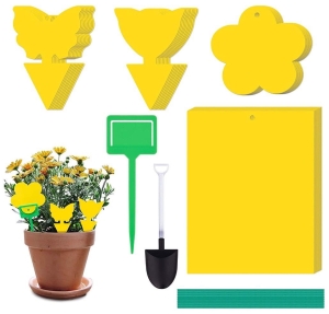 f61925f920fa43fdca51b3cf1eee7544