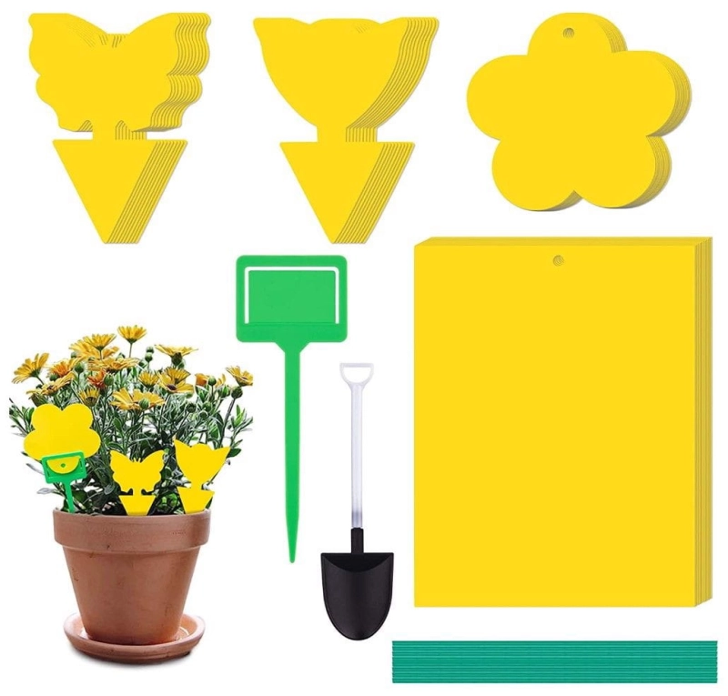 f61925f920fa43fdca51b3cf1eee7544