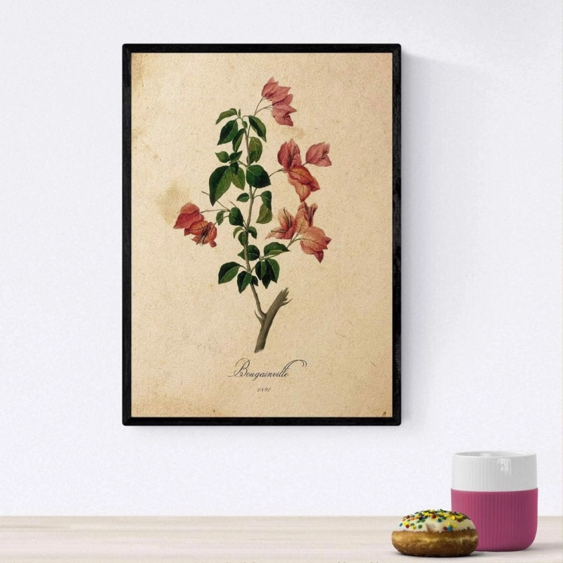 4883afe67fcd28257154161ccf26d4cd