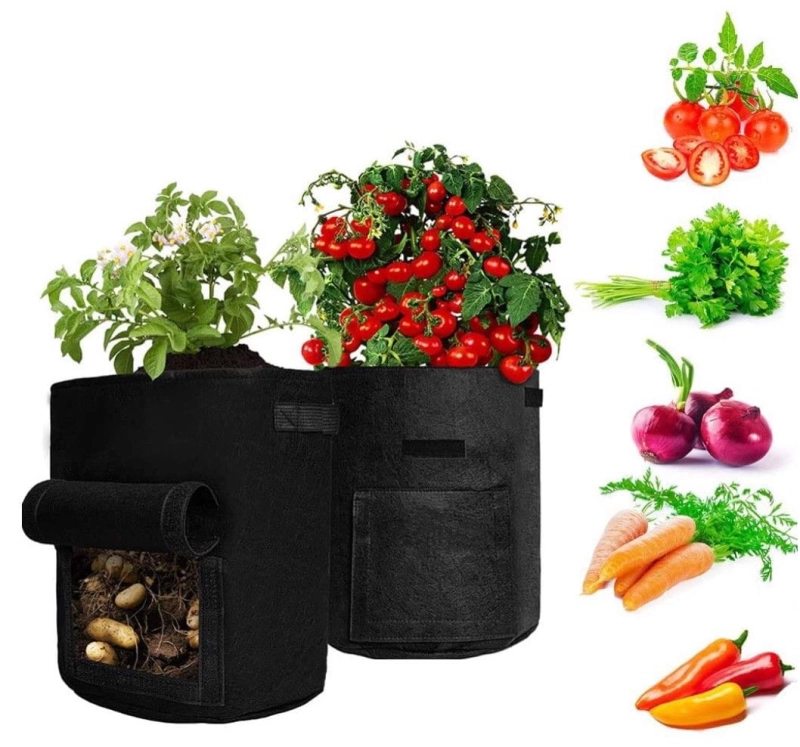 c1601547d7f01cd3c38362548fb8a86b