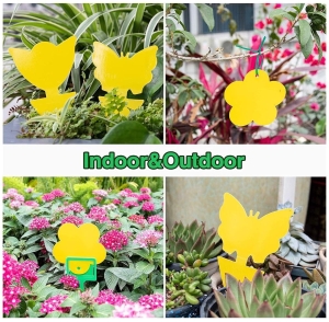 c7d672bfa4188c3bde99759ffa425f4c