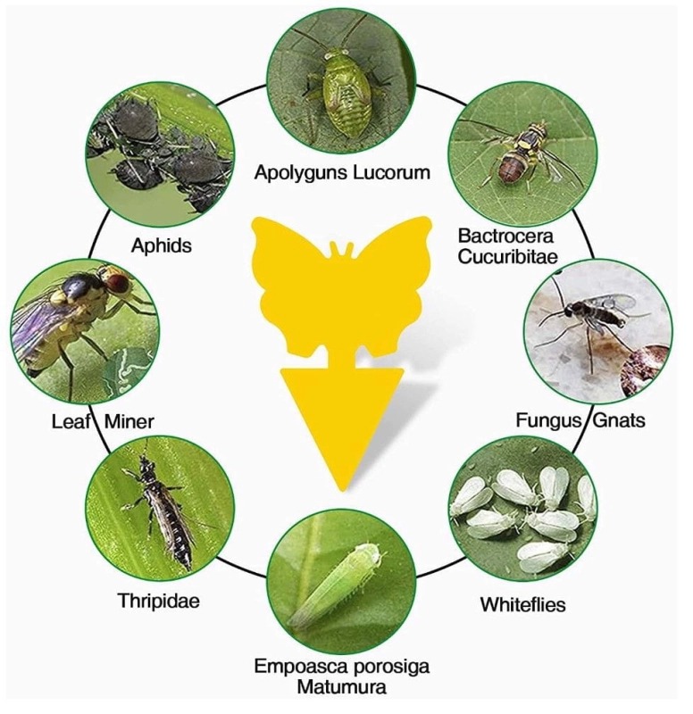 0d6a4656741edf92aef1b9c2cf2a072b